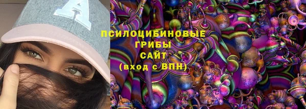 мяу мяу мука Баксан