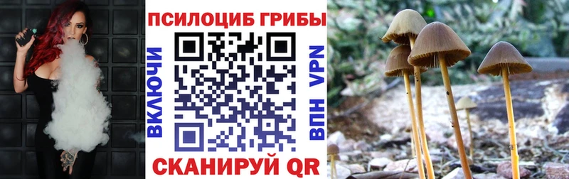 Купить где  Верхнеуральск  Галлюциногенные грибы Magic Shrooms 